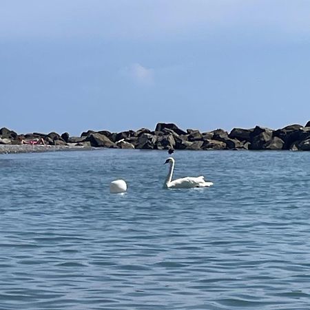 Casa Aiga Marina Apartment Ventimiglia Bagian luar foto