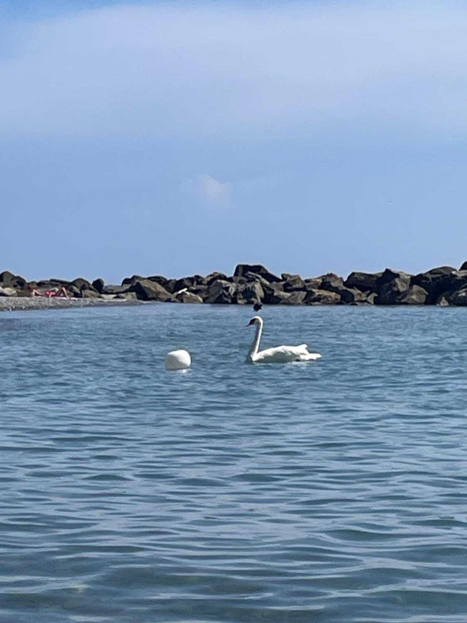 Casa Aiga Marina Apartment Ventimiglia Bagian luar foto